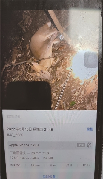 輕輕一碰捕獸夾，“滴”，犯罪嫌疑人阿陽(yáng)(化名)的手機上立馬響起了警報