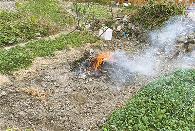 如何遏制秸稈焚燒？寧波江北經(jīng)驗被點(diǎn)贊