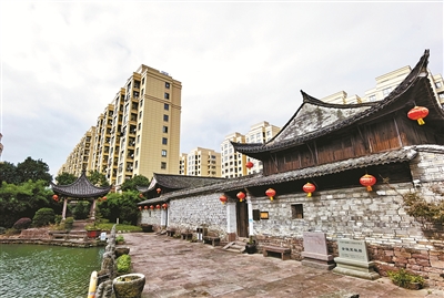 鄉賢反哺，用心用情唱響“振興曲”