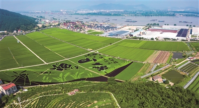 稻香文化賦能共同富裕 富陽(yáng)區漁山鄉交出穩進(jìn)提質(zhì)高分答卷