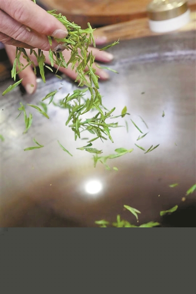 開(kāi)茶啦！ 西湖景區茶村忙 新老傳承情意長(cháng)