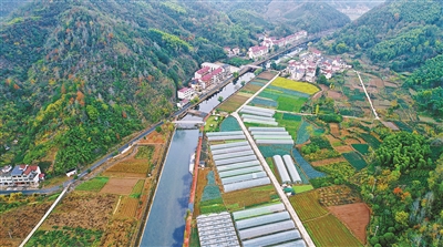 從“賣(mài)蔬菜”到“賣(mài)風(fēng)景” 建德大洋打造“未來(lái)鄉村”自然基地模板