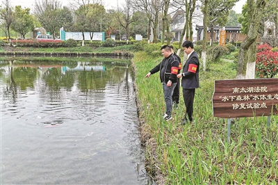 變“環(huán)境賠償金”為“生態(tài)修復金” 湖州“司法碳匯生態(tài)補償” 成就一方碧波