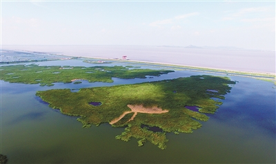 規劃面積48平方公里，是西溪濕地的近5倍 杭州開(kāi)建超大濕地公園，它有著(zhù)怎樣的“前世今生”？