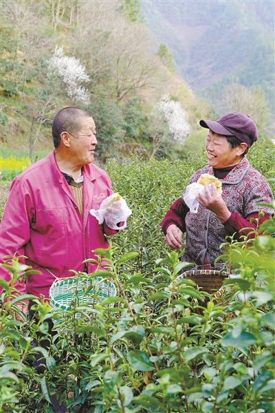 先人傳下來(lái)的口糧，化為年產(chǎn)值2000萬(wàn)元的產(chǎn)業(yè) 玉米做的主食從“米飯區”突圍而出