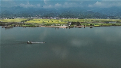 油菜花海、百年香樟、江邊露營(yíng)、農夫市集…… 來(lái)新桐，赴一場(chǎng)“春天的盛會(huì )”