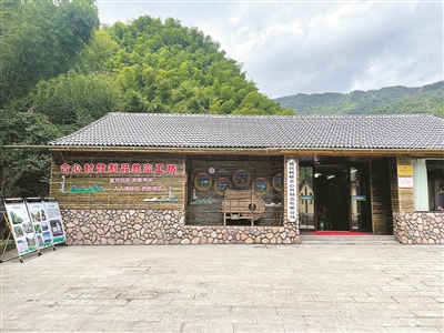 一根毛竹的“逆襲” 紹興柯橋平水鎮做活“竹文章”奔共富