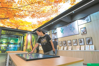 溫州首家植物專(zhuān)類(lèi)館——翠微山公園植物標本館對外開(kāi)放