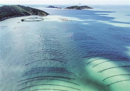 全省首筆海洋藍碳（貝類(lèi)）交易在臺完成