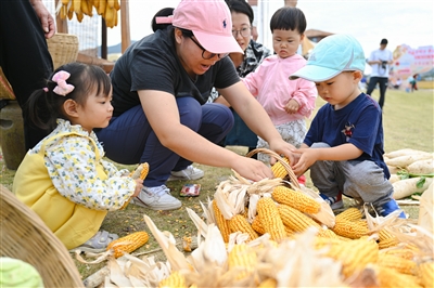 2023農民豐收節、海稻音樂(lè )節昨開(kāi)幕  稻花香里說(shuō)豐年 “農”墨重彩繪“豐”景