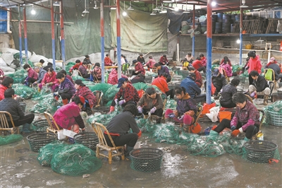 蒼南梭子蟹量大價(jià)低受歡迎