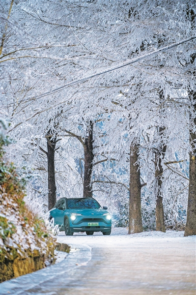 昨日我市多地降雪  今天山區最低氣溫-9℃