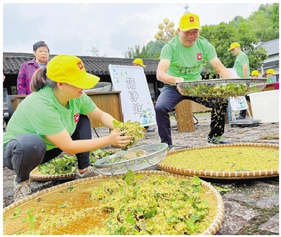 桐廬母嶺村有了桂花交易中心 共富路上桂花飄香