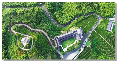 寺塢嶺自然地入圍中國潛力OECMs案例