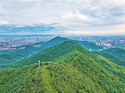 “一環(huán)三源、千點(diǎn)多帶” 杭州首個(gè)區級生物多樣性概念規劃出爐